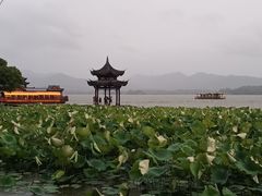 -西湖外事游船(湖滨二公园外事游船码头)