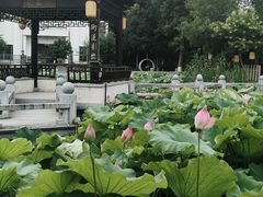 -丝绸小镇荻港古村