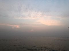 -黄金海岸