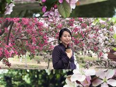 -长白岛森林公园