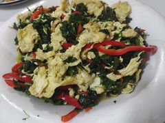 -煲来饱去冷水鱼