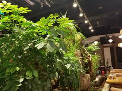 -宴桃园(门头沟店)