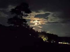 -武陵山森林公园