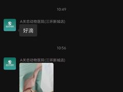 -瑞派·关忠动物医院·猫专科·犬专科(三环新城店)