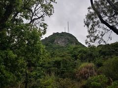 -太平山顶