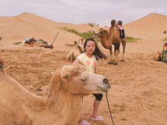 -亿利库布其七星湖沙漠生态旅游区