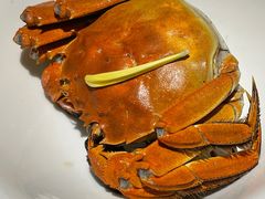 -蟹榭(静安寺晶品商场店)