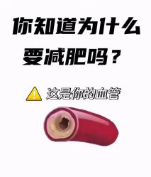 -Fundi张玉珊修身堂·indiba·BTL科技瘦身