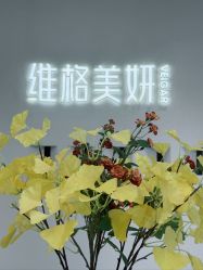 点击看大图 -维格美妍