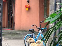 -夹夹大·蟹蟹大排档(财富又一城店)