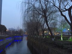 -聚龙湖公园