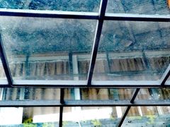 -荔城生鲜盛宴(番禺旗舰店)