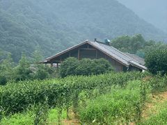 -礼耕堂·百年茶人餐厅(梅家坞店)