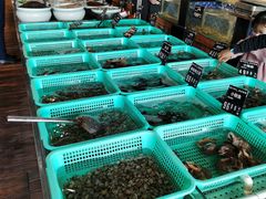 -浩运海鲜·16年专注青岛菜(石老人店)