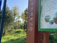 -东郊湿地公园