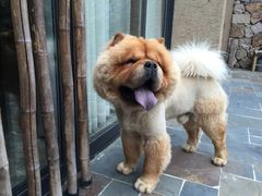 -看见远方·莫干遥远的山民宿