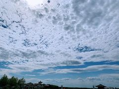 -呼兰河口湿地公园