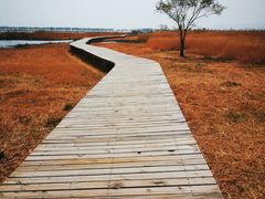 -野鸭湖国家湿地公园