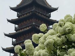 -常熟方塔园