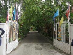 -Kinnaree by Vanessa WU