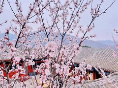 -妙峰山风景名胜区