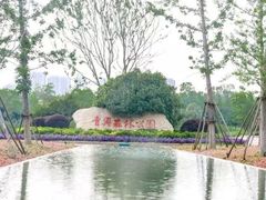 -南京眼步行桥