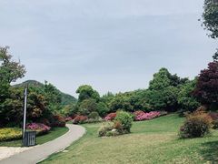 -桃花岛景观公园