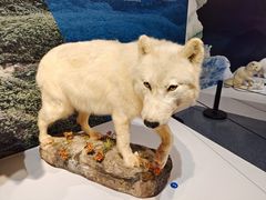 -中国湿地博物馆