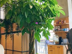 -ZM COFFEE(西安路店)