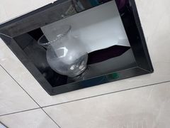 -半岛宠物医院24小时(白果林店)