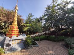 -瑞丽独树成林风景区