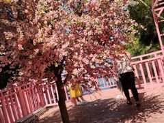 -广州市流溪河国家森林公园
