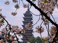 -常熟方塔园