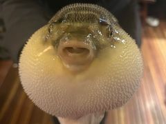 -永安鱼庄·镇江菜(丁卯店)