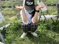 -田园东方蜜桃村的田野营地