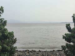 -深圳湾公园(南山区)