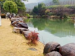 -白马涧龙池景区