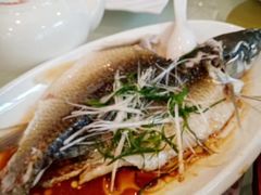 清蒸边鱼-海宝酒家(中山四路店)