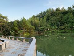 -仙店农庄(湖景农庄餐厅)