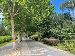 -东升八家郊野公园