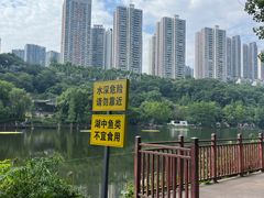 -重庆彩云湖湿地公园