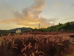 -瓷天下海丝谷