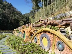 -永州阳明山国家森林公园