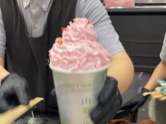 -雾与山茶(大禹城店)