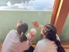 -田螺阿姨自营月嫂·育儿嫂(高新店)