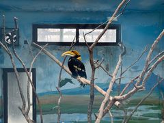 -济南野生动物世界