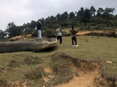 -大姆山草场