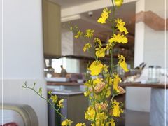 -北京柏悦酒店·锦庭餐厅Dining Room