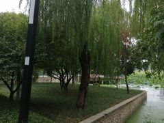 -月湖风景区