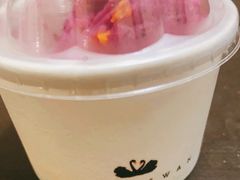 -BLACKSWAN黑天鹅(环球店)